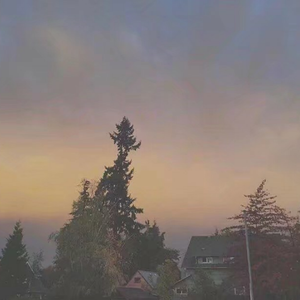 群交多p激情视频
